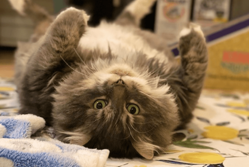 5097267B-C5FE-45F8-B1A9-E7E6A16557D5