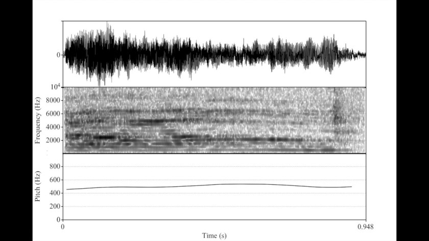 6232E8A8-D0F8-4538-9FD4-F02836B7A8E7