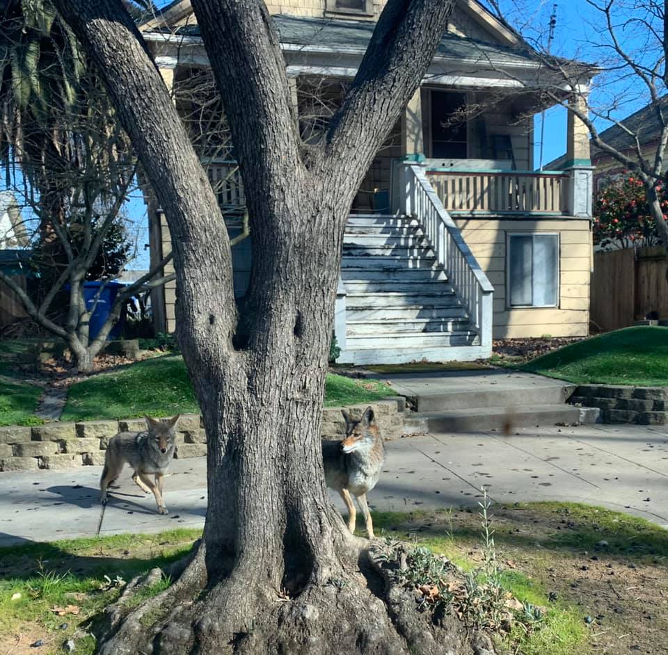 835258A9-998E-4FDF-A7FF-06F279143DA0