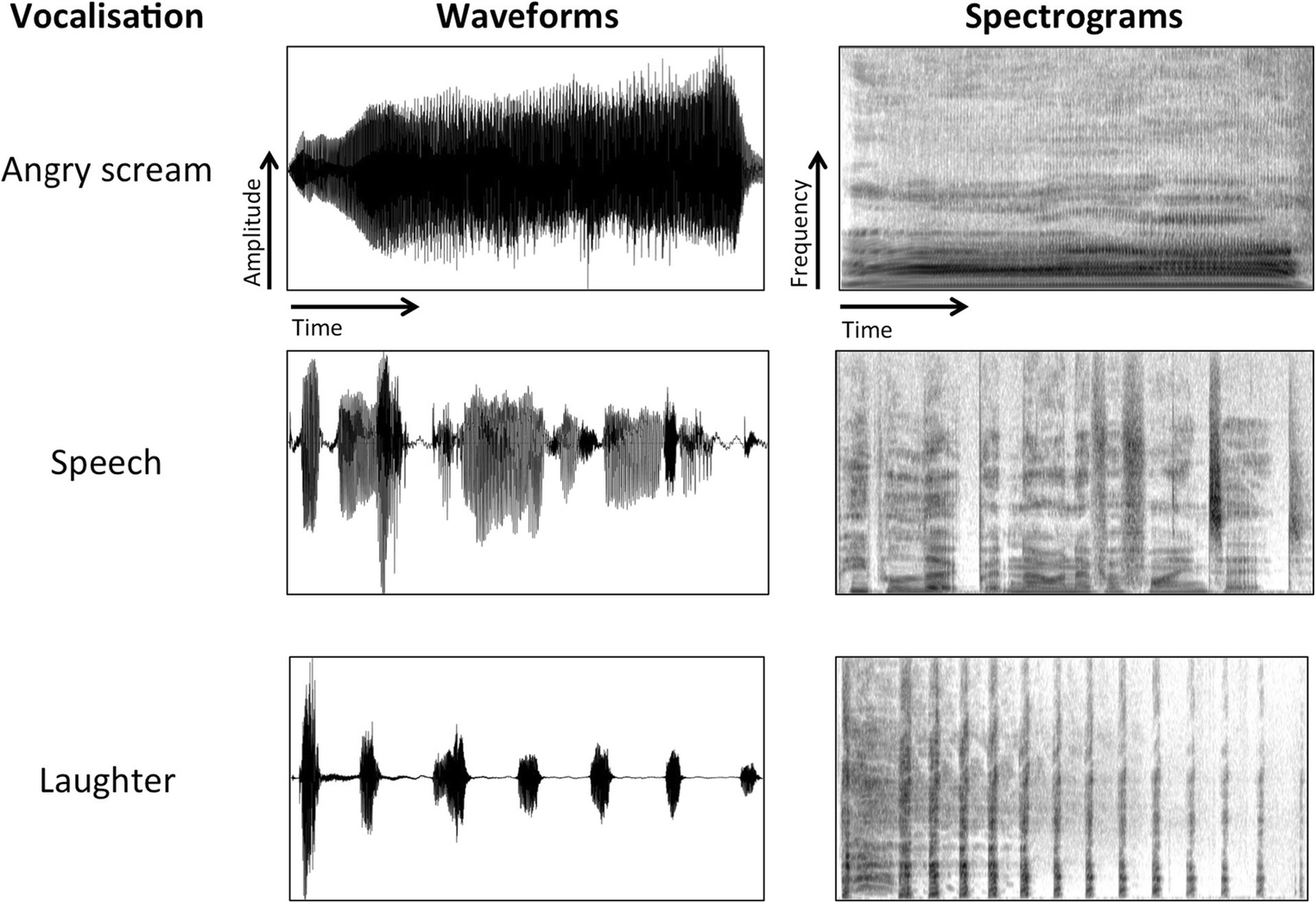 88D6312A-A20F-4B02-B1C0-60445B1E1E5E