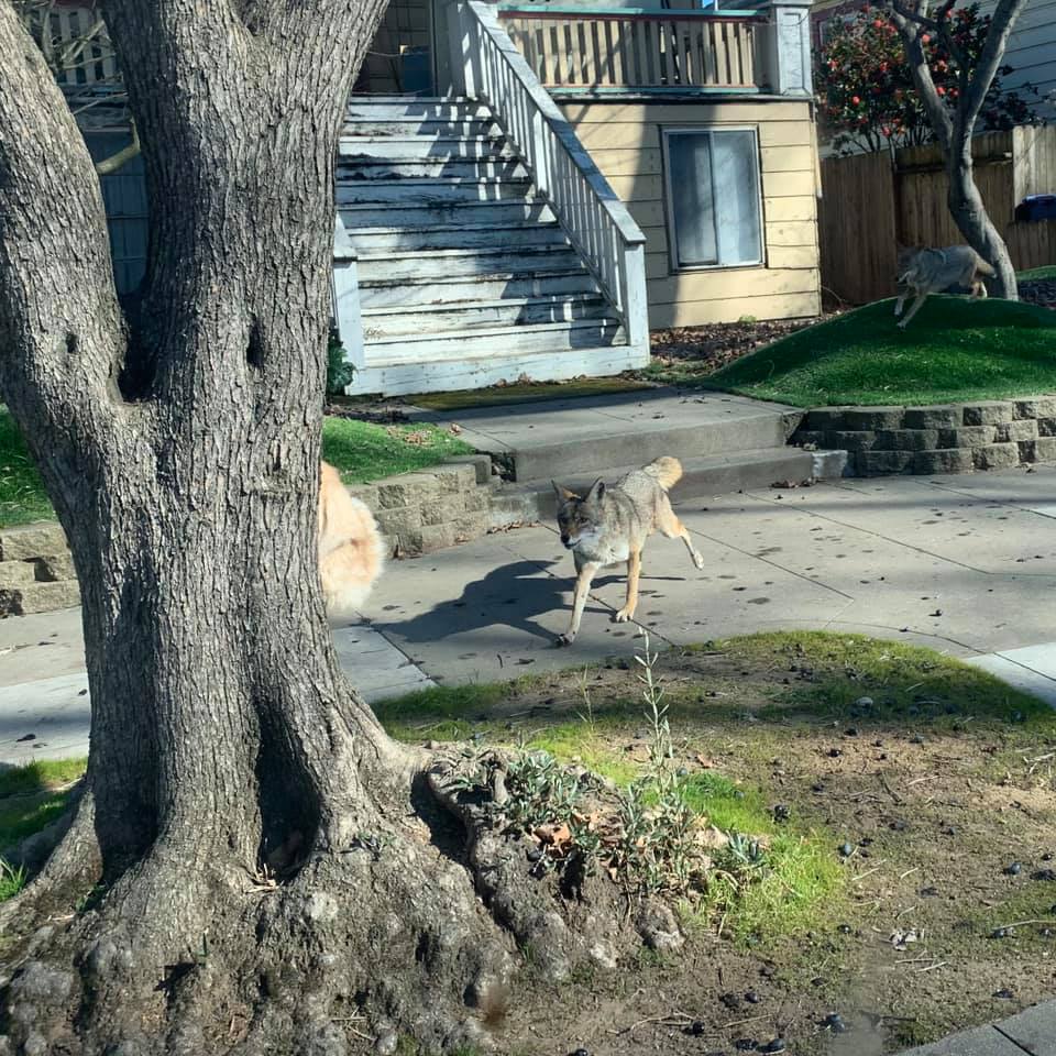 B58F4FBA-2B03-4805-A3D2-E24BD1C9445B