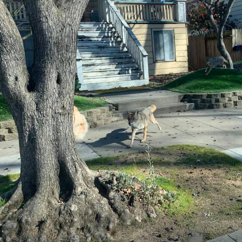 B58F4FBA-2B03-4805-A3D2-E24BD1C9445B