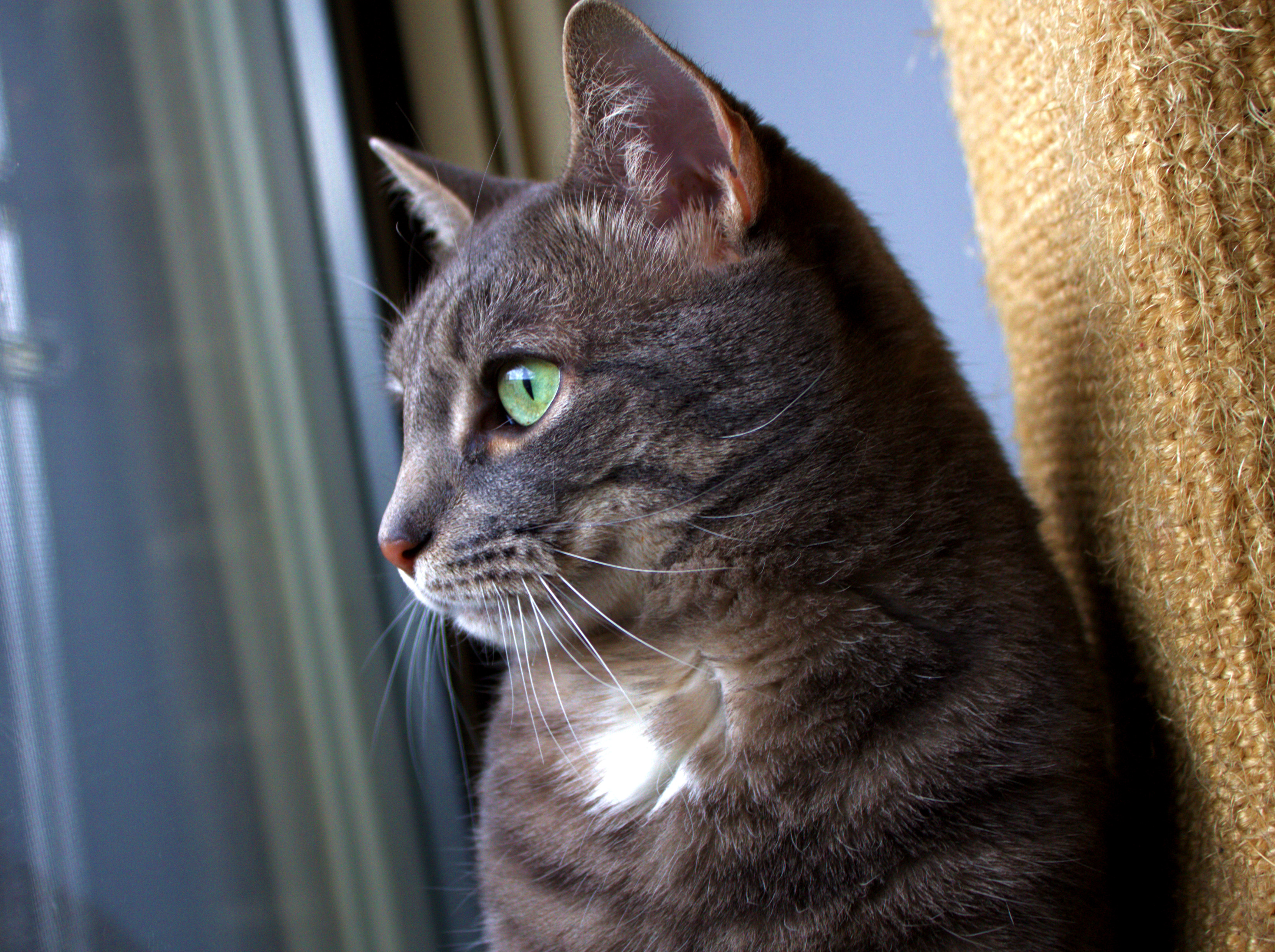 Buddy Being Handsome