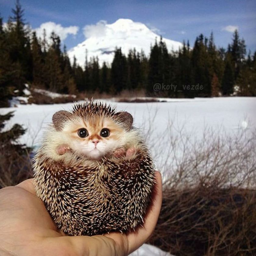 50C88E20-65CB-444B-AB5B-E661F12F032D