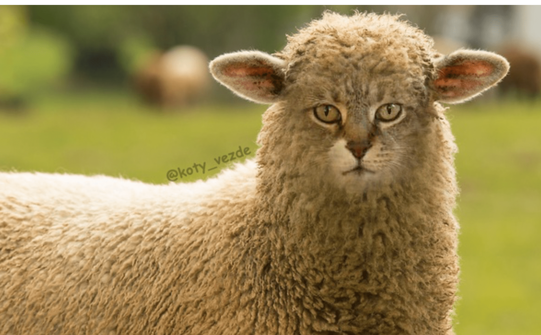 5DB0A090-648E-4417-97B6-B2A20C74ACA0