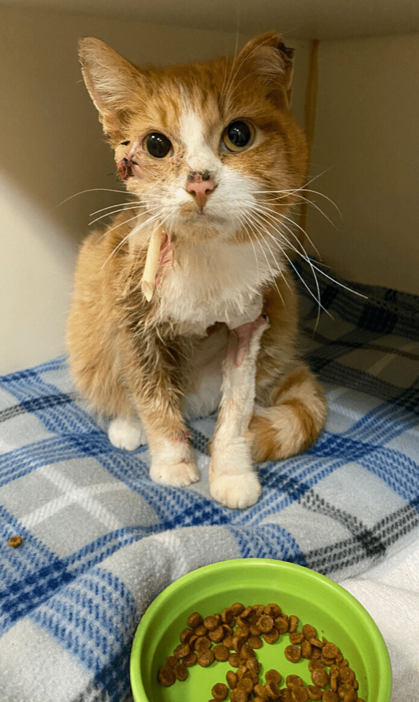 5F474566-DA07-45A1-9529-AA1FC566A8B8