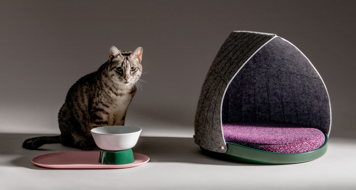 Another Start-Up Offers Overpriced Cat&nbsp;Junk