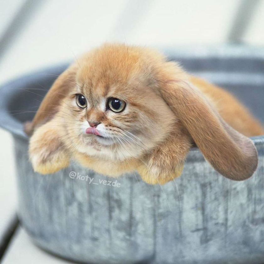 ADBCB4F1-9BE6-4106-B5CB-2F0EFEF7EAD9