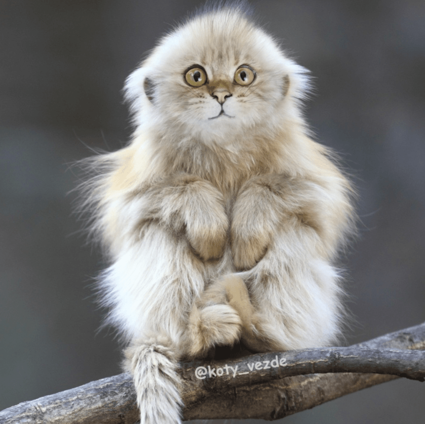 BC525E4A-12FB-445B-8FE4-575089DD0DAE