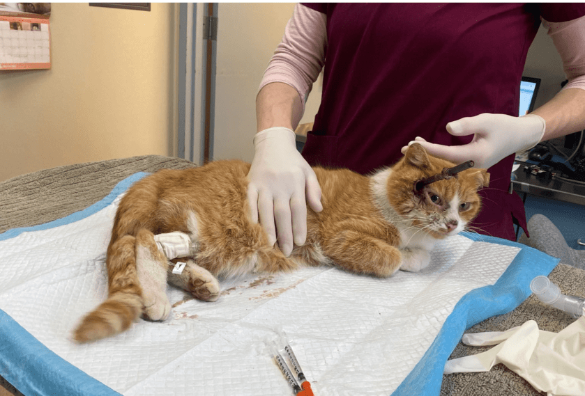 DD39677B-7CD3-442A-87BB-09898F39A36E