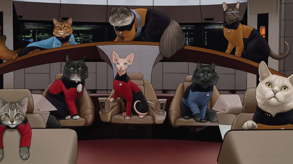 TNG-Cats