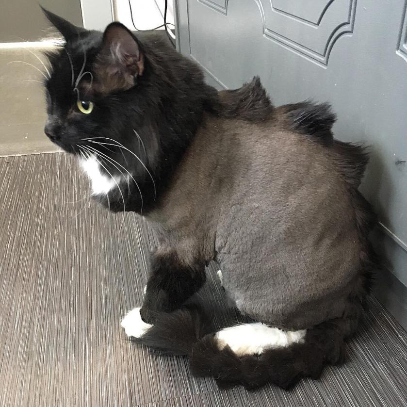 2AFDD3CD-8815-4715-9722-9C85B0818805