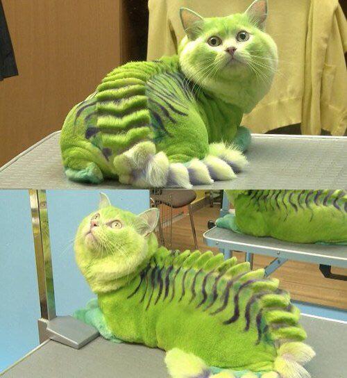 760D24B7-5E83-4ACC-BE07-D6B0DF453663