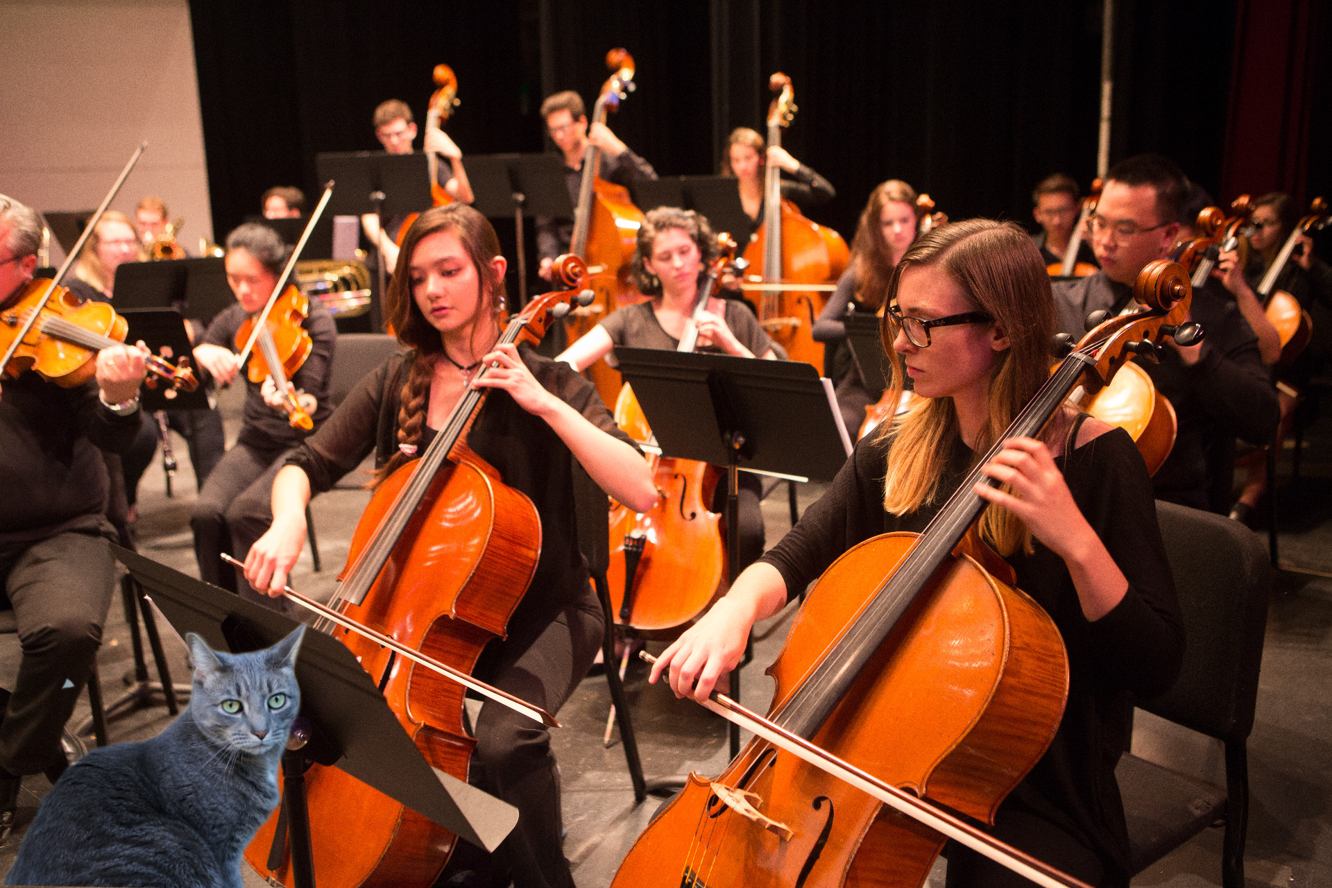 BuddyFest 2020 Orchestral Practice
