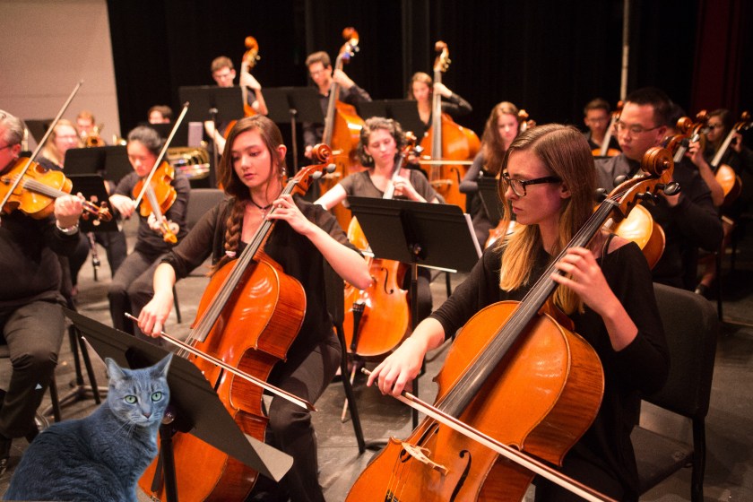 BuddyFest 2020 Orchestral Practice