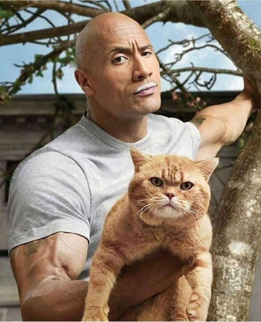 The Rock and His Cat