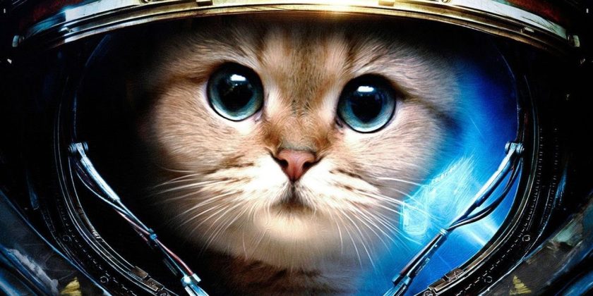 catsinspace_large