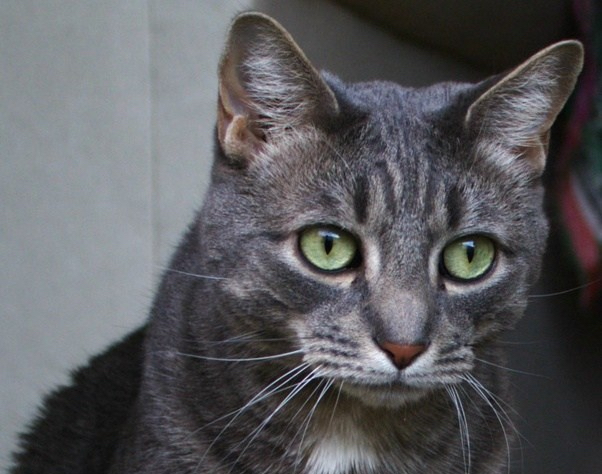 F35B3507-FDDC-4C81-82D6-39596D72F898