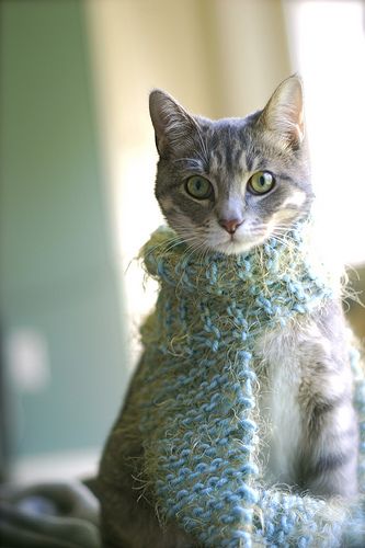 6C48CBE6-6462-4FEB-A919-ADF7E65FFCC5