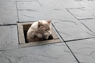 9F34A6C4-341F-4025-A205-E0B5910530B0