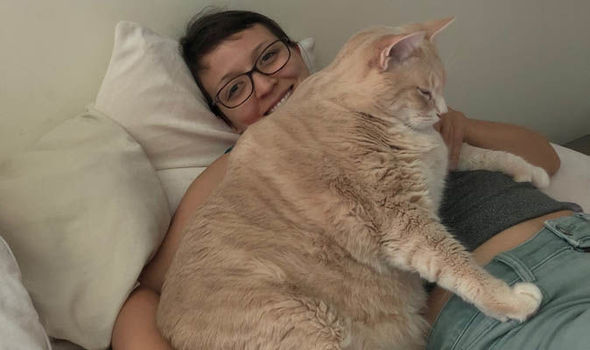 The Obsession With Chonky Cats Has Gone Too&nbsp;Far