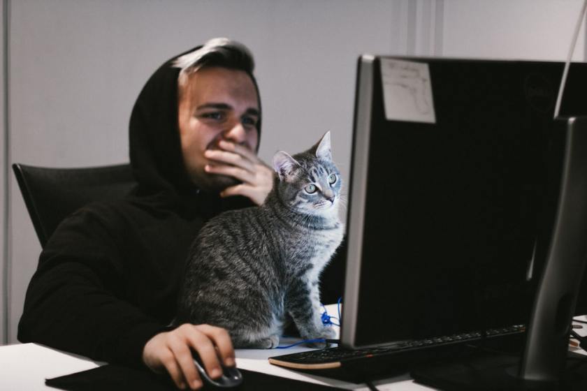 catcomputer