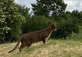 EFD54B2A-C236-4F59-8BB6-702BE1AE05BD