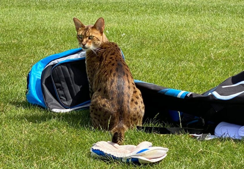 F2872079-4ABF-4D6A-9D1F-66695CD11D31