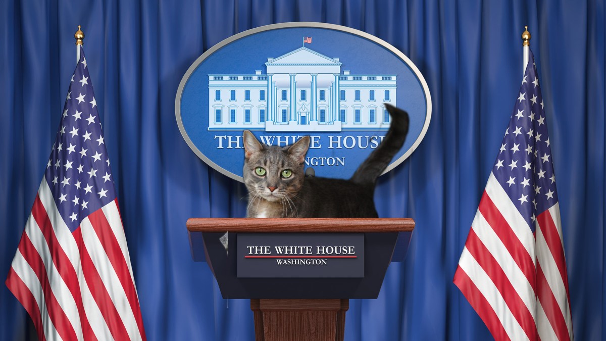 President Buddy Blames Siamese For Coronavirus&nbsp;Outbreak