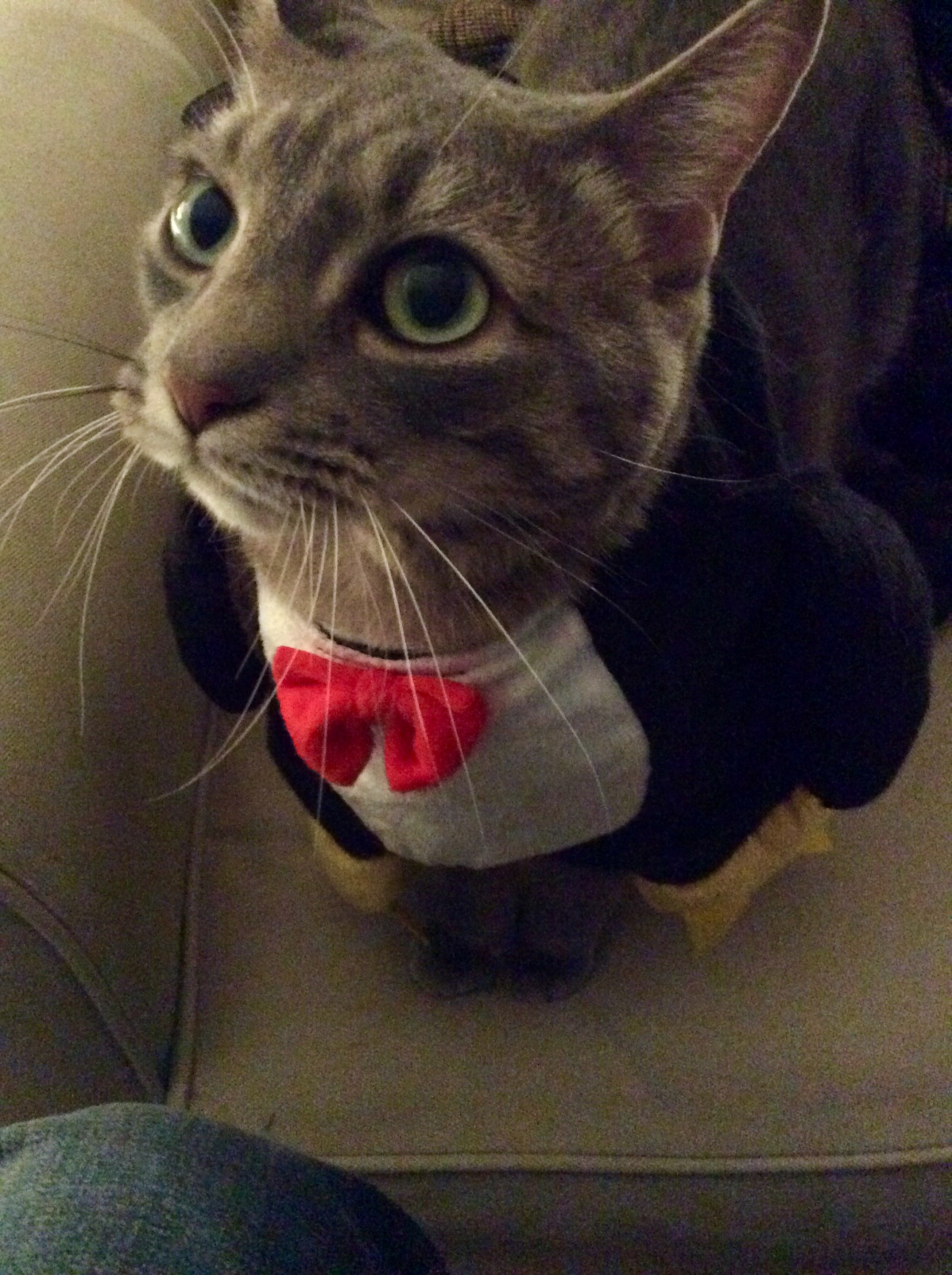 1D050D82-A219-4B47-B3F0-CA45086F9D73