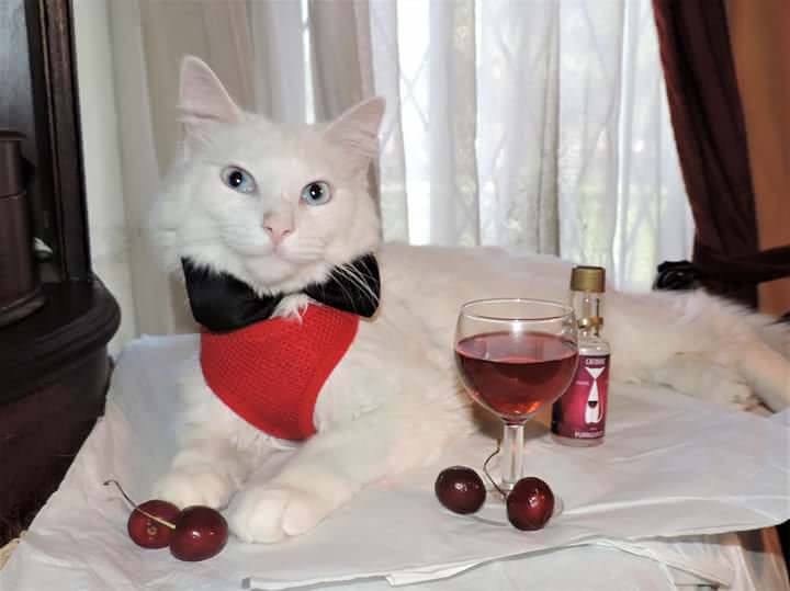 38815130-B69E-469F-8D66-2B0E8272AD47