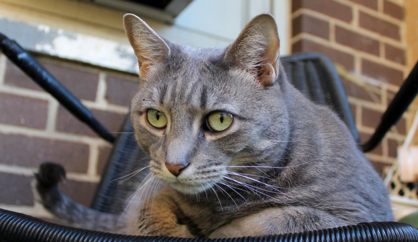 6921D788-6939-4D86-9871-52AF0DCA0022