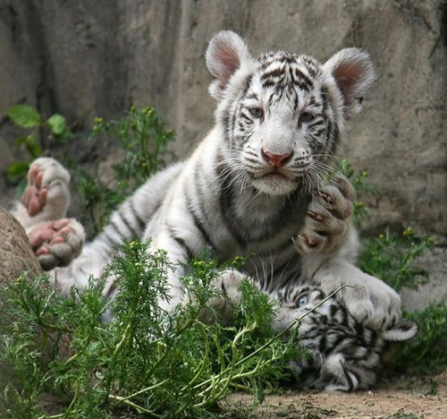 957619F2-BEE0-42F3-A1F8-EDFE0CCBBFE0