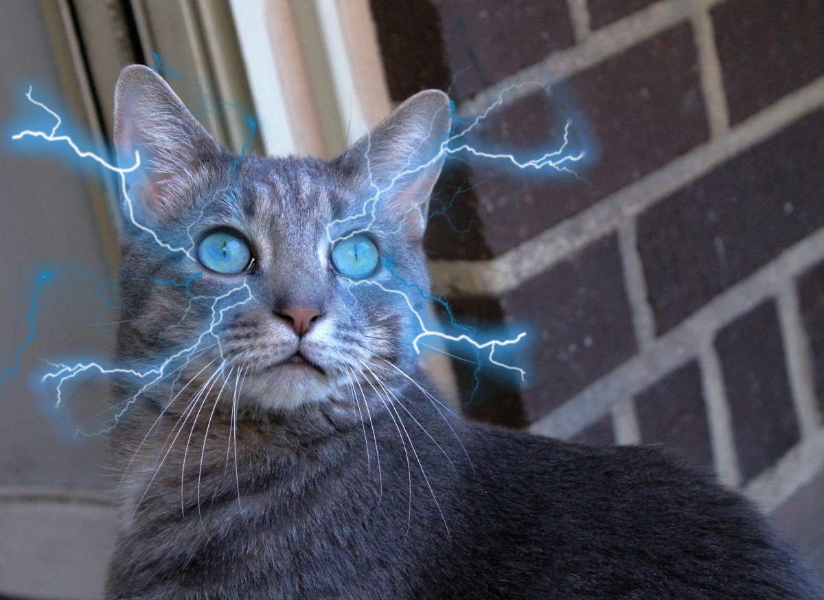 Study: Male Actors, Models Are 96% More Handsome With&nbsp;Buddy