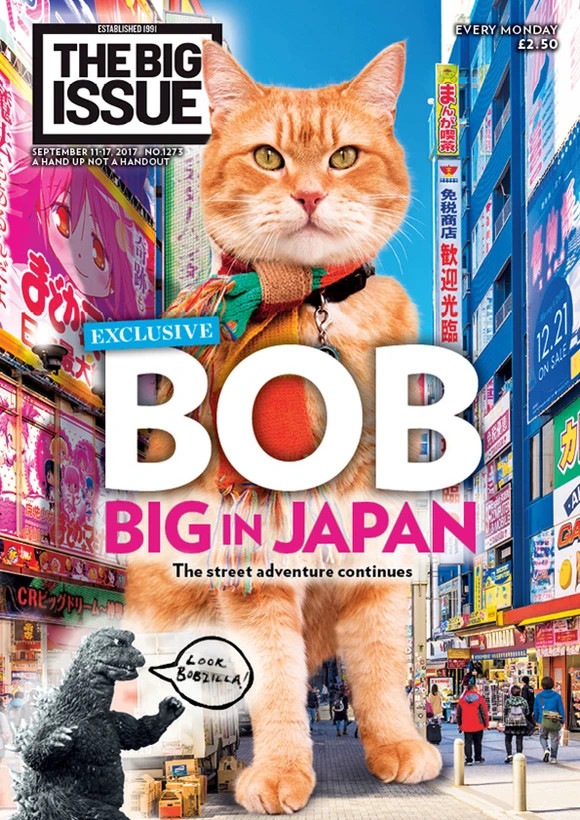 Street Cat Bob On The Big Issue