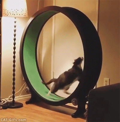 CDBD4C53-C05A-4F1E-8307-9C6996D8DE8D