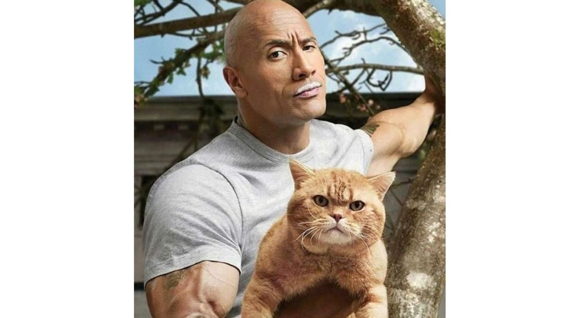 Study: Women Don’t Want To Date Men With&nbsp;Cats