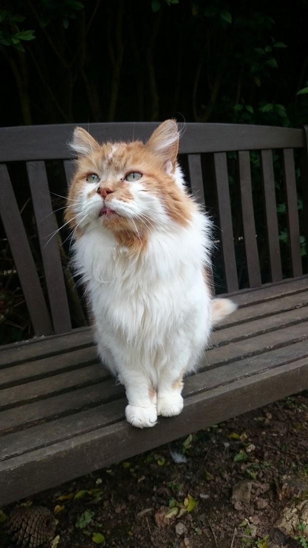 8B72EA50-D18C-4409-8A9B-FD9B580B0040