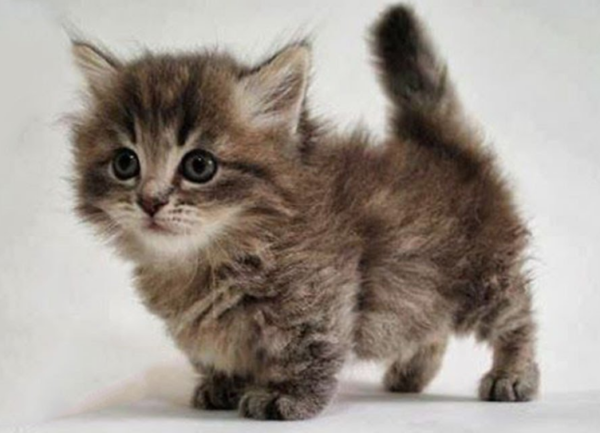 A694C372-BF1F-4680-BD61-9BAE3B29C8D2