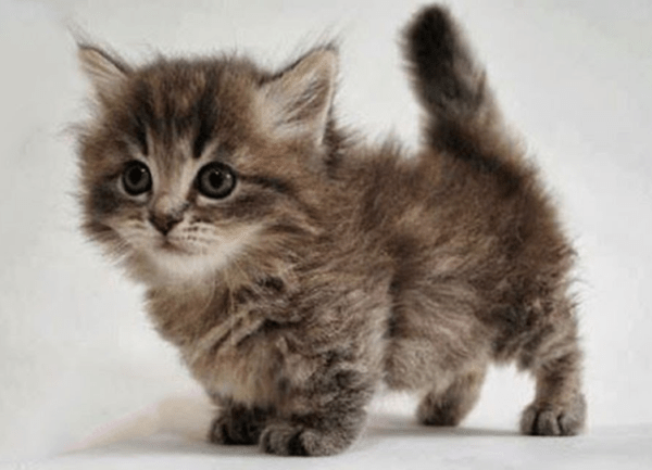 A694C372-BF1F-4680-BD61-9BAE3B29C8D2