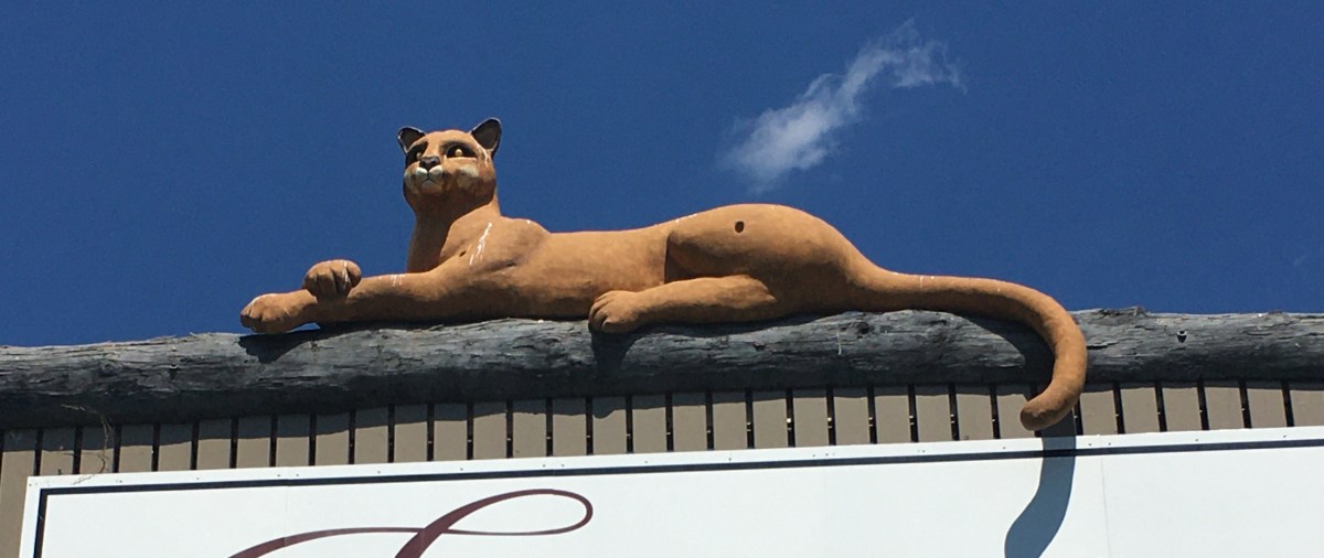 The Return Of The King’s&nbsp;Servant