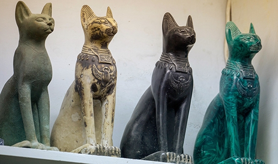 catsegypt