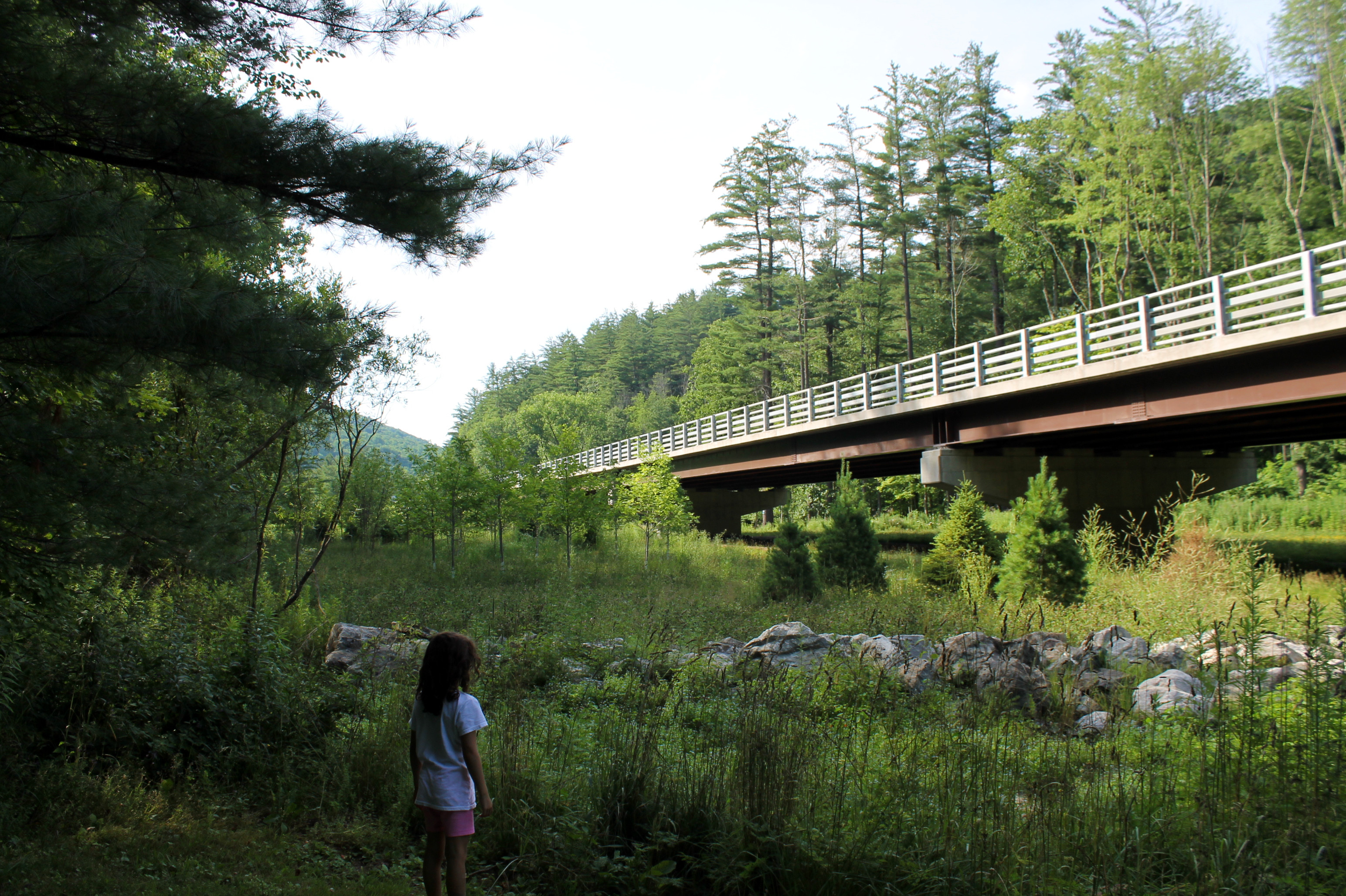 catskills_claudia_esopuscreek