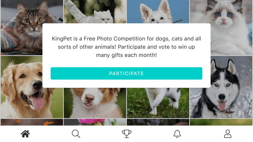 F94D2464-5950-4D59-8562-4EE947DC4F02