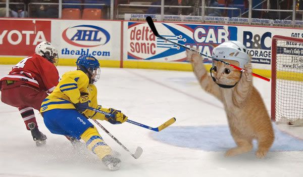 09413BB5-7CC6-43CA-890C-8C69E8DD6234