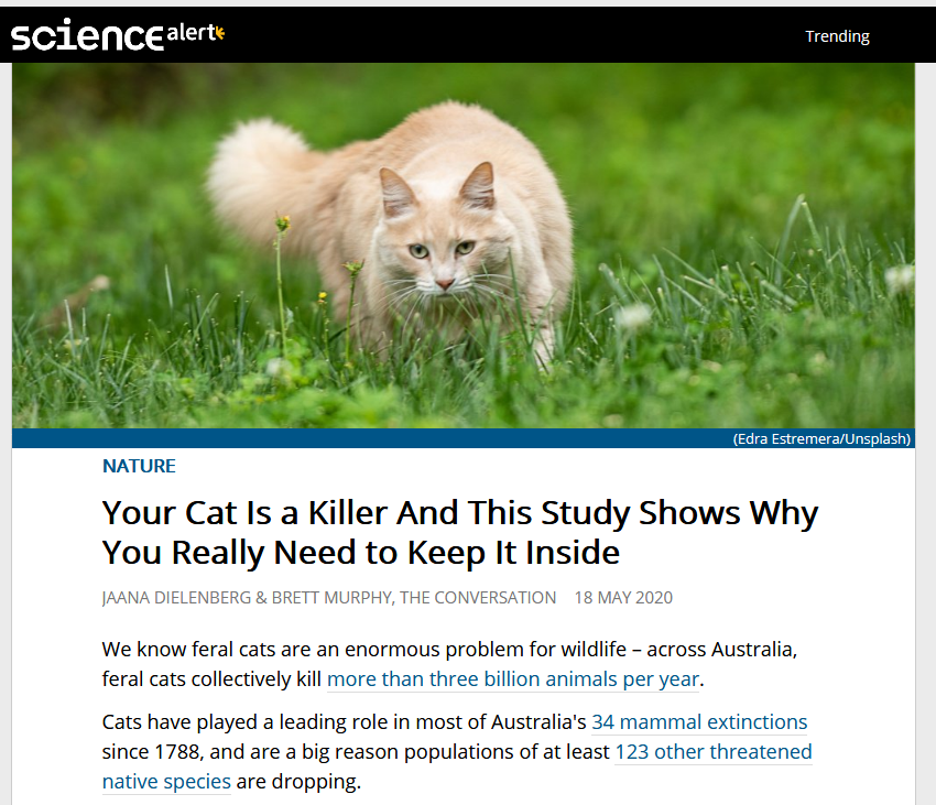 Screenshot_2020-08-04 Your Cat Is a Killer And This Study Shows Why You Really Need to Keep It Inside