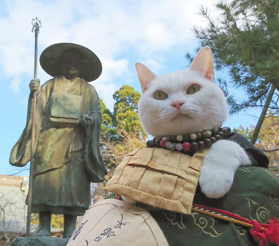 Screenshot_2020-08-12 ねこ地蔵とおる ( nekojizo) is on Instagram(10)