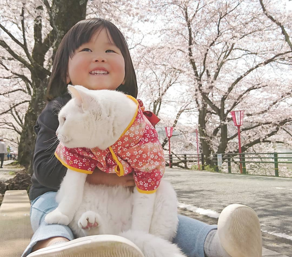 Screenshot_2020-08-12 ねこ地蔵とおる ( nekojizo) is on Instagram(9)