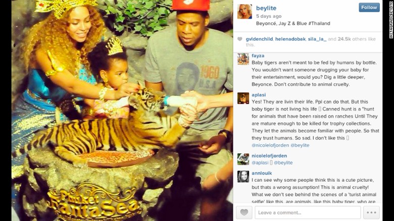 beyoncetiger
