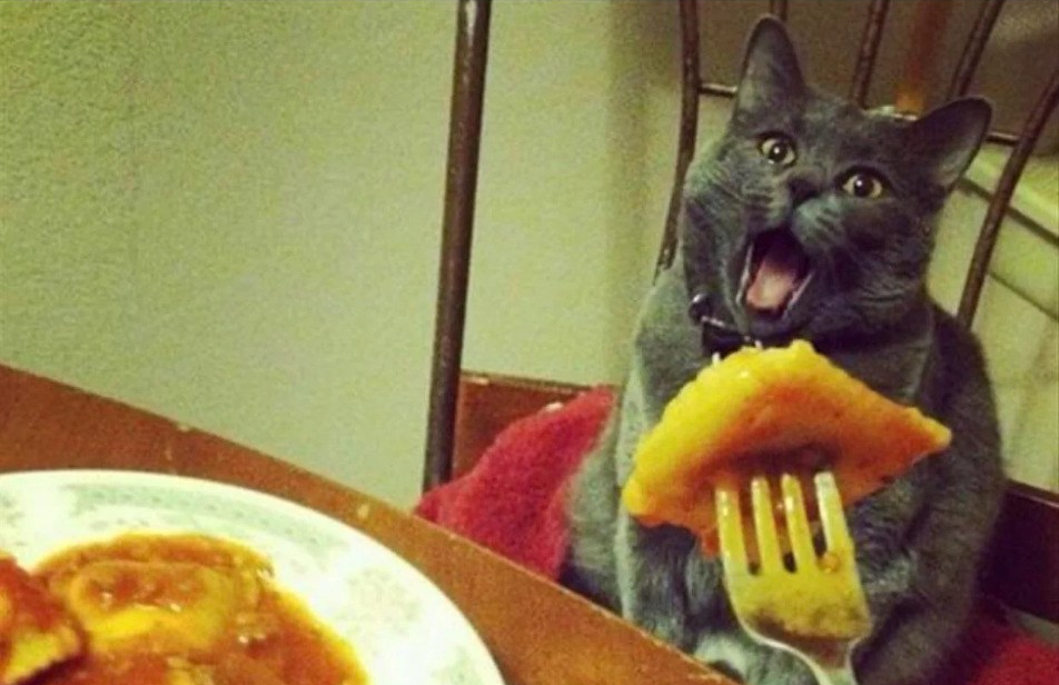 Screenshot_2020-09-25 6gxnxnia97c51 jpg (WEBP Image, 1241 × 1258 pixels) - Scaled (76%)